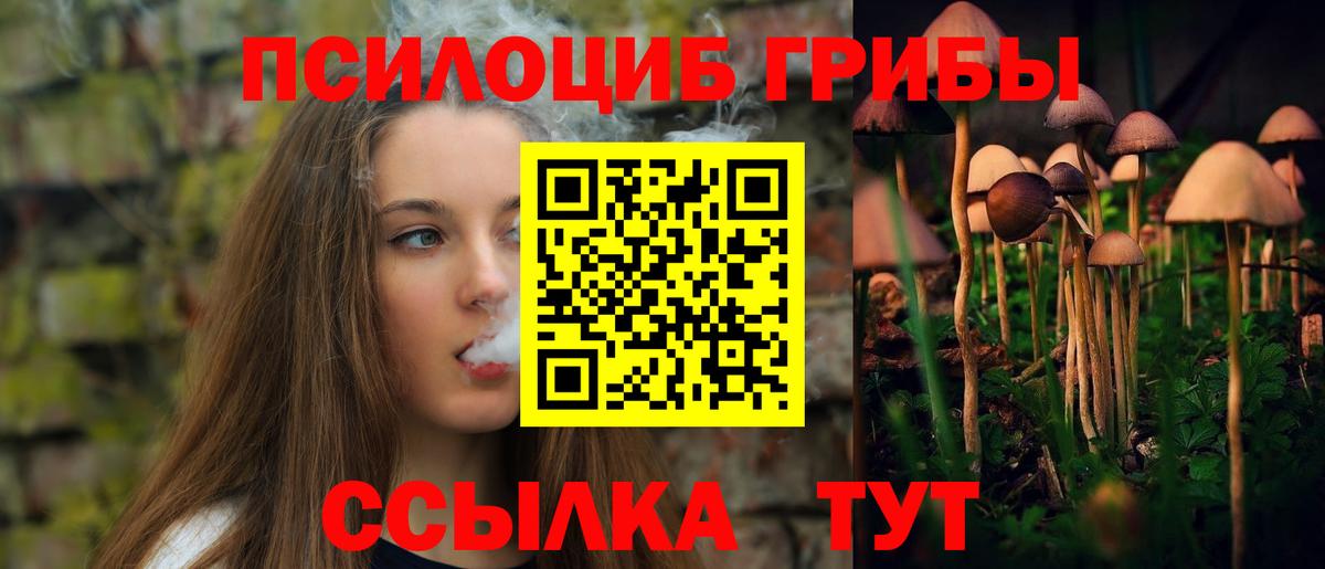Псилоцибиновые грибы Psilocybe Кунгур