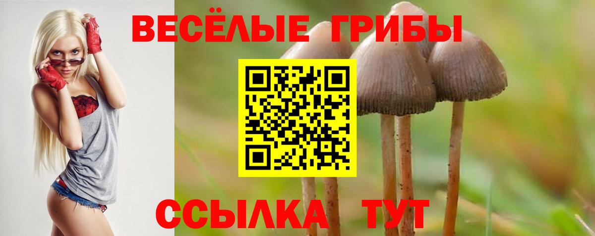 Кунгур  Псилоцибиновые грибы MAGIC MUSHROOMS  Вход с VPN 